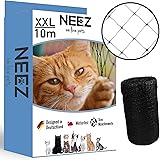 Chat balcon Chat balcon