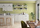 Dulux Simply Refresh Melon Sorbet Matte Emulsion Paint 30 ml Tester view 7