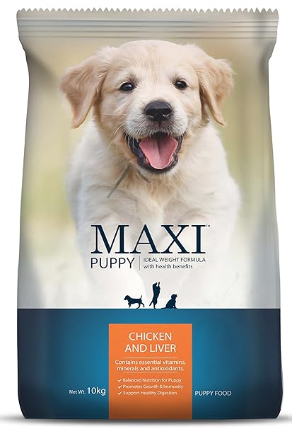 aggressive breeds list