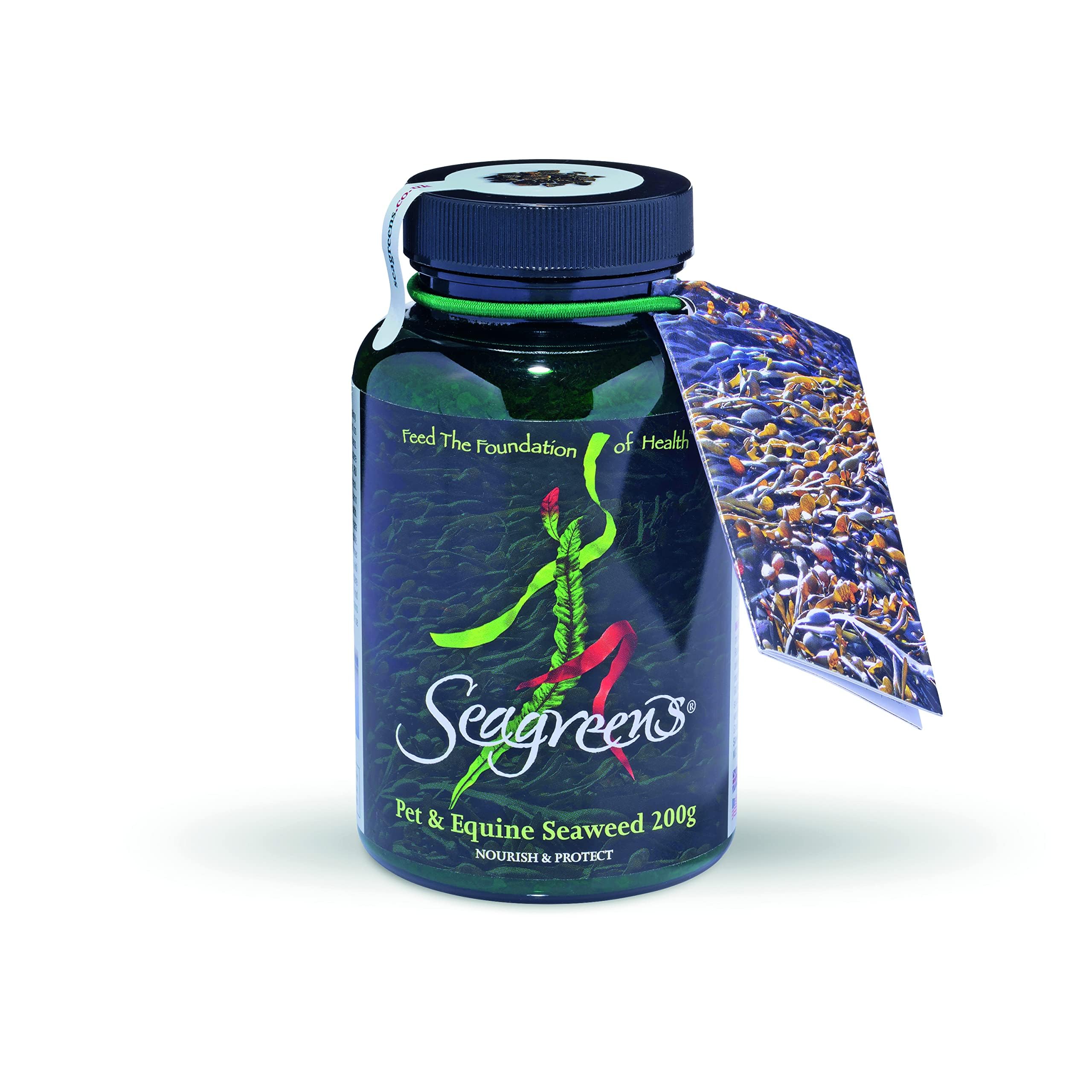 Seagreens Organic Seaweed Supplement for Pets & Horses, 200g, 2 Weeks - 6 Months Supply, Natural Seaweed for Dogs, Cats & Equine, Granules, Daily Pet Nutrition Support, Vegan & Additive-Free
