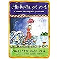 If the Buddha Got Stuck: A Handbook for Change on a Spiritual Path