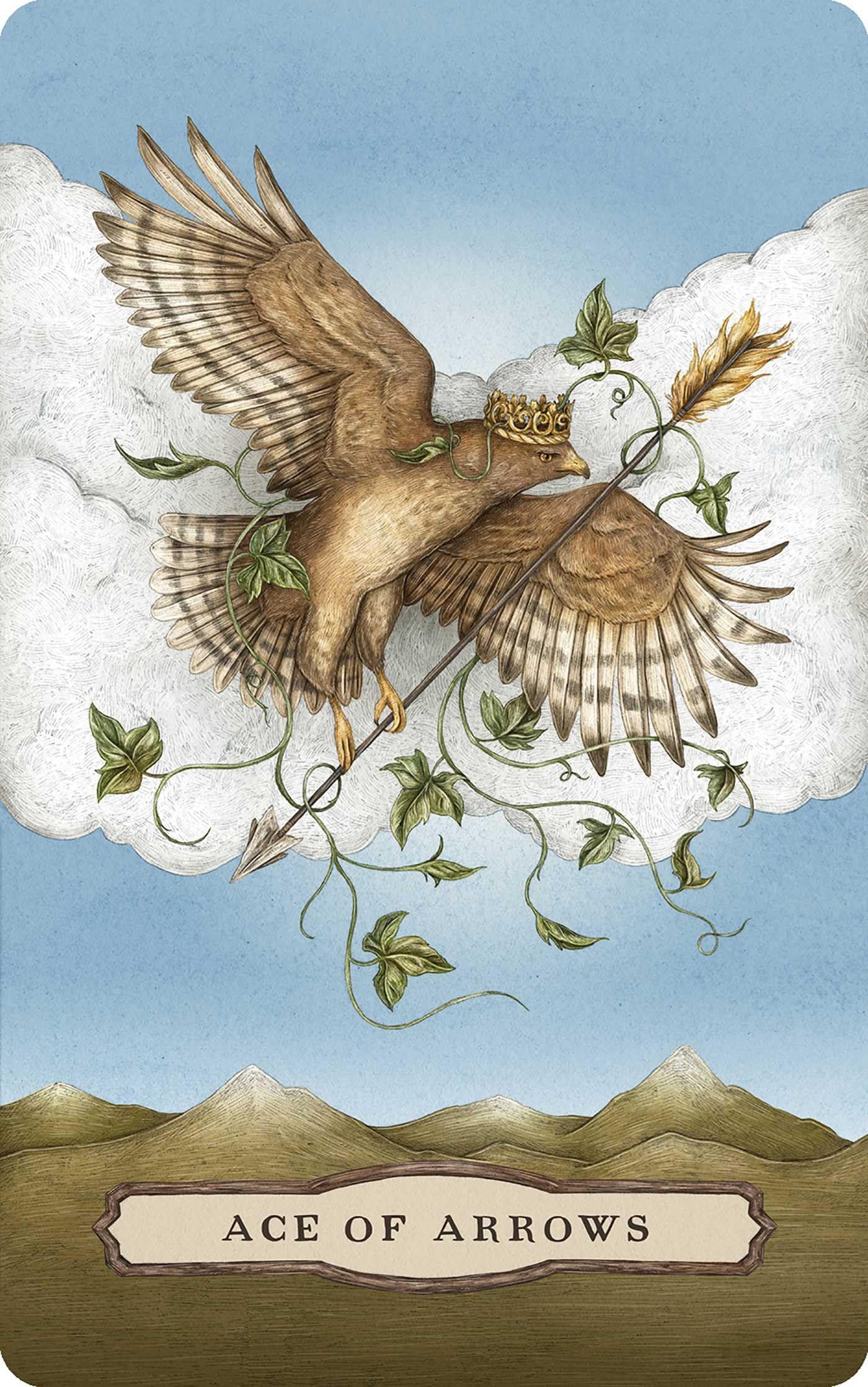 Tarot of the Woodland Wardens: 78-Card Deck & Guidebook Tarot of the Woodland Wardens: 78-Card Deck & Guidebook Product Bundle