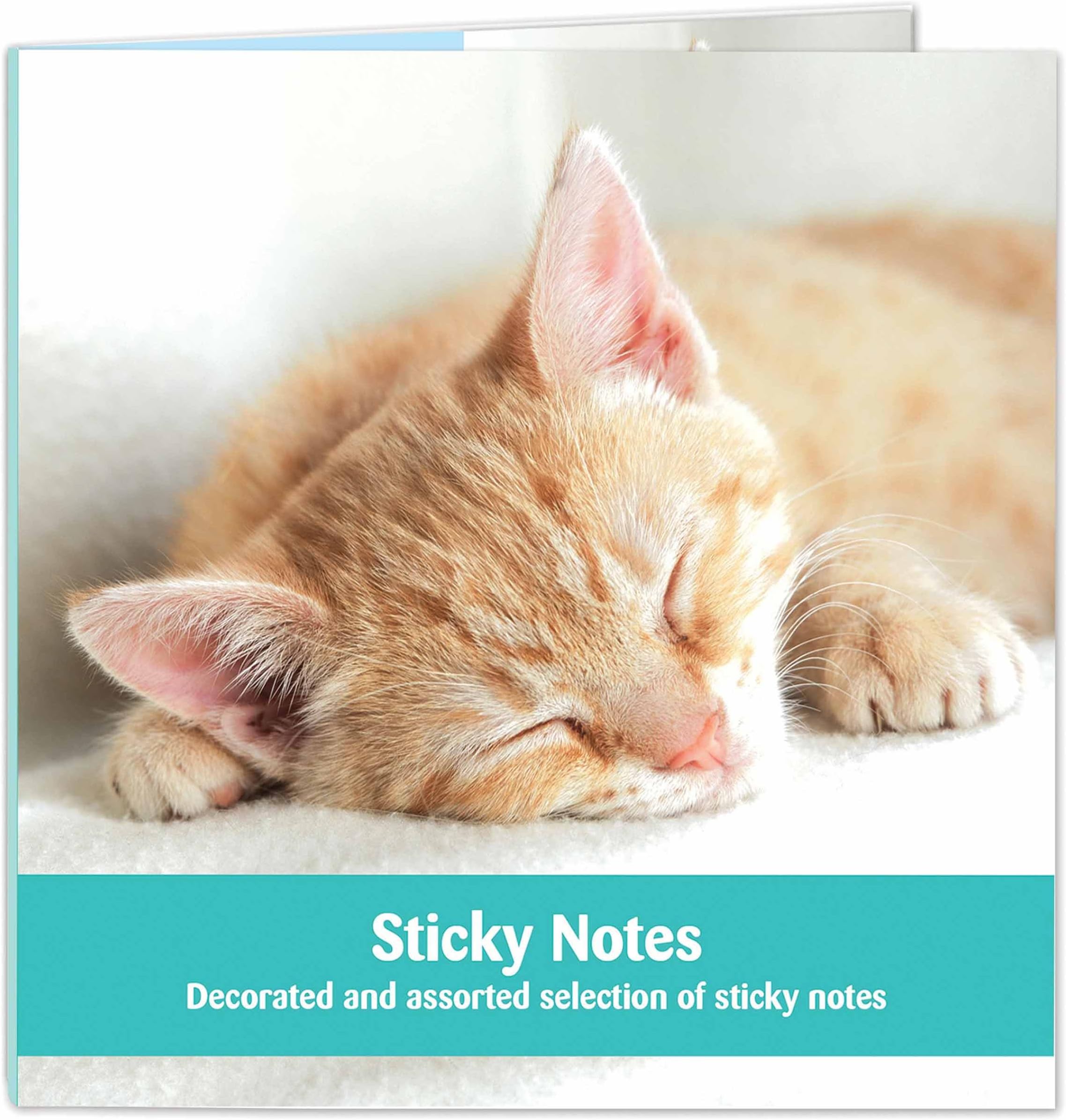Cats Protection Stationery - Sticky Notes Selection Ginger Sleeping Kitten