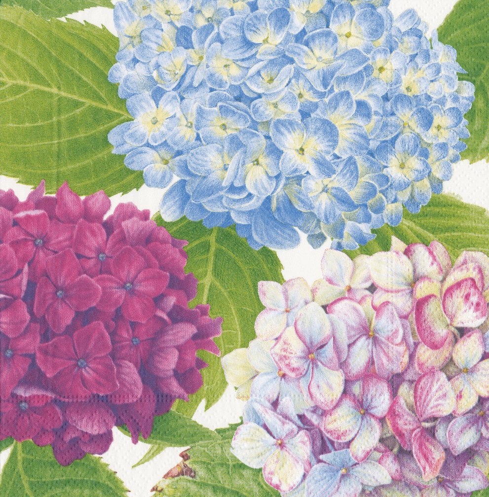 Entertaining with Caspari Hydrangea Garden Luncheon Paper Napkin, Pack