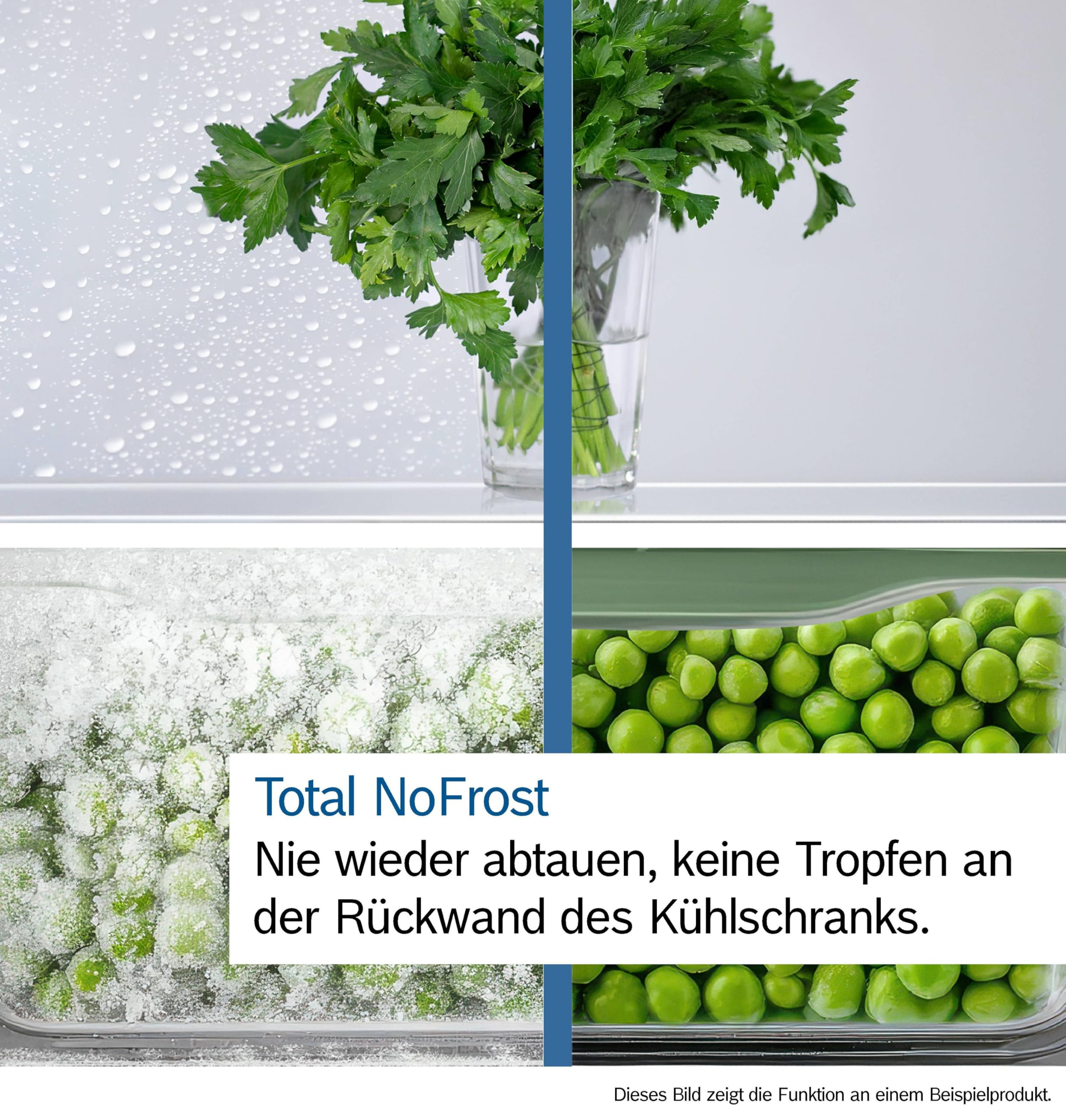 Bosch KGN49OCAF, Serie 4, XXL Kühl-Gefrier-Kombination Freistehend, 203 x 70 cm, 311 L Kühlen & 129 L Gefrieren, Green Collection, Total No Frost, Extra leise, VtaFresh XXL, Perfect Fit, Anthrazit 3