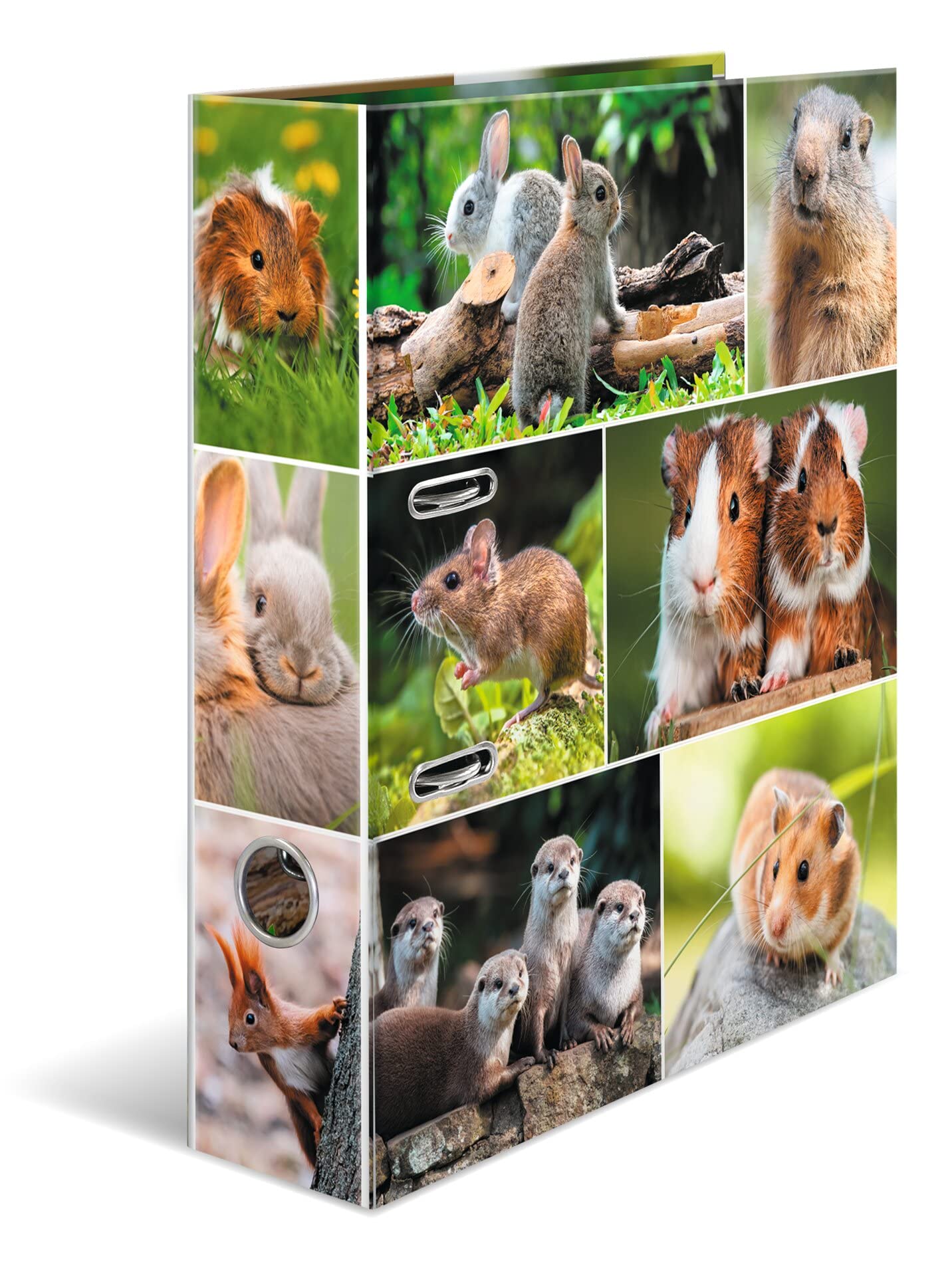 HERMA Lever Arch File Animal Worlds with Rodents Motif, A4, 70 mm Spine, with Inner Print, 1 Folder