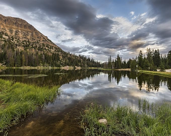 Utah Nature Photography 16x20 Inch Nature Art Print