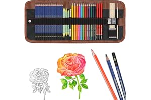 Daerthotk Drawing Pencils Sketching Kit, Graphite, Charcoal, Colored Pencils for Adult Artists Beginners, Ideal Gift for Drawing Sketching Shading, Watercolors Pencil Set for Family