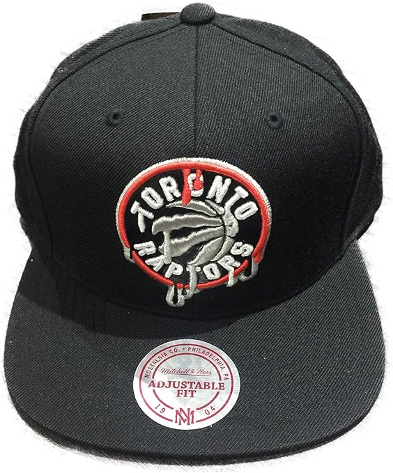 toronto raptors hat amazon