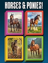 Smart Cards Smart Cards Horse & Pony Card Game 7 Games Travel Pack view 2