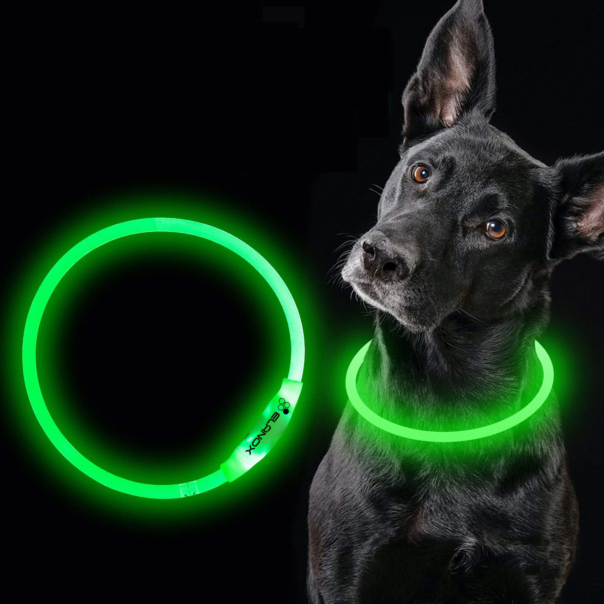 ELANOX LED Dog Collar Rechargeable USB Universal Size Light Collar (Green)