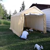 Amazon.com : CoverPro 10 ft. x 17 ft. Portable Shed, Garage or Car Shelter : Garden &amp; Outdoor