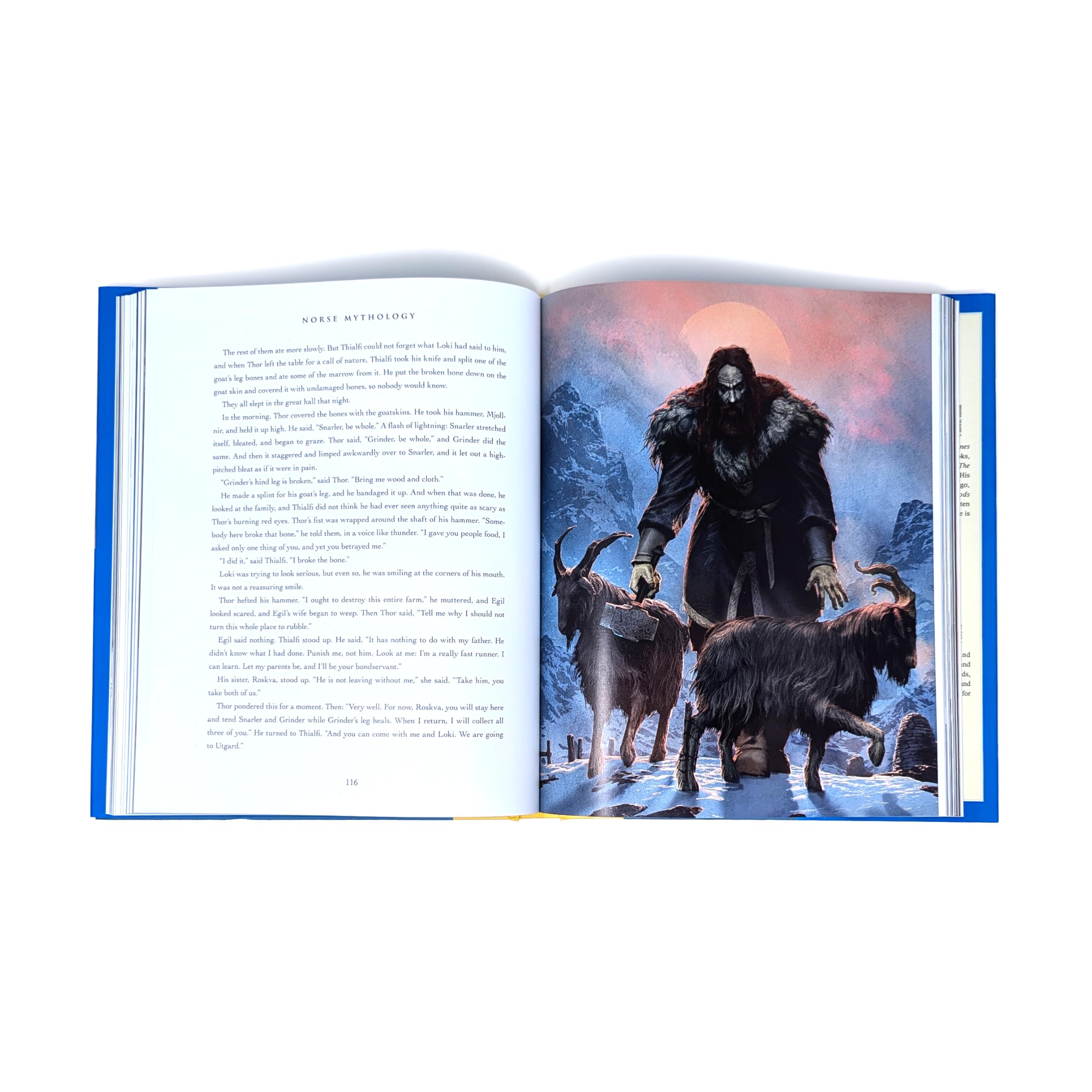 Norse Mythology: The Illustrated Edition
