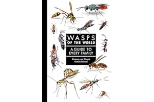 Wasps of the World: A Guide to Every Family