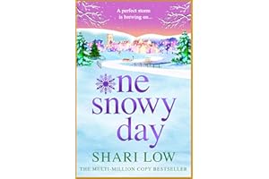 One Snowy Day: THE NUMBER ONE BESTSELLER from Shari Low for 2026