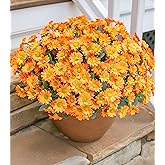 Daisy Artificial Flowers for Outdoors Decoration, 6 Bundles Fake Plants Flowers Bouquet Faux Flowers for Outdoor Planter Look Real UV Resistant Silk Flowers for Outside Front Door Porch Patio, Orange