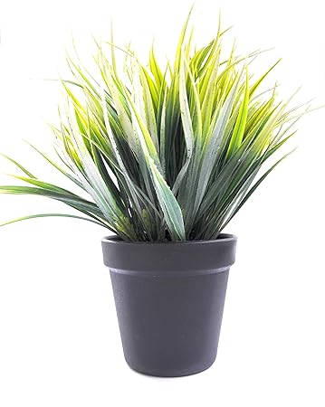 Buy Artificial Plant With Pot Bonsai Grass By Fancyoutlets For
