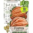 Seed Needs Pumpkin Seeds for Planting Atlantic Giant Pumpkins - Non-GMO Heirloom & Untreated Vegetable Seed to Plant a Home Grown Outdoor Garden - Extra Large Giant Fruits (1 Pack)