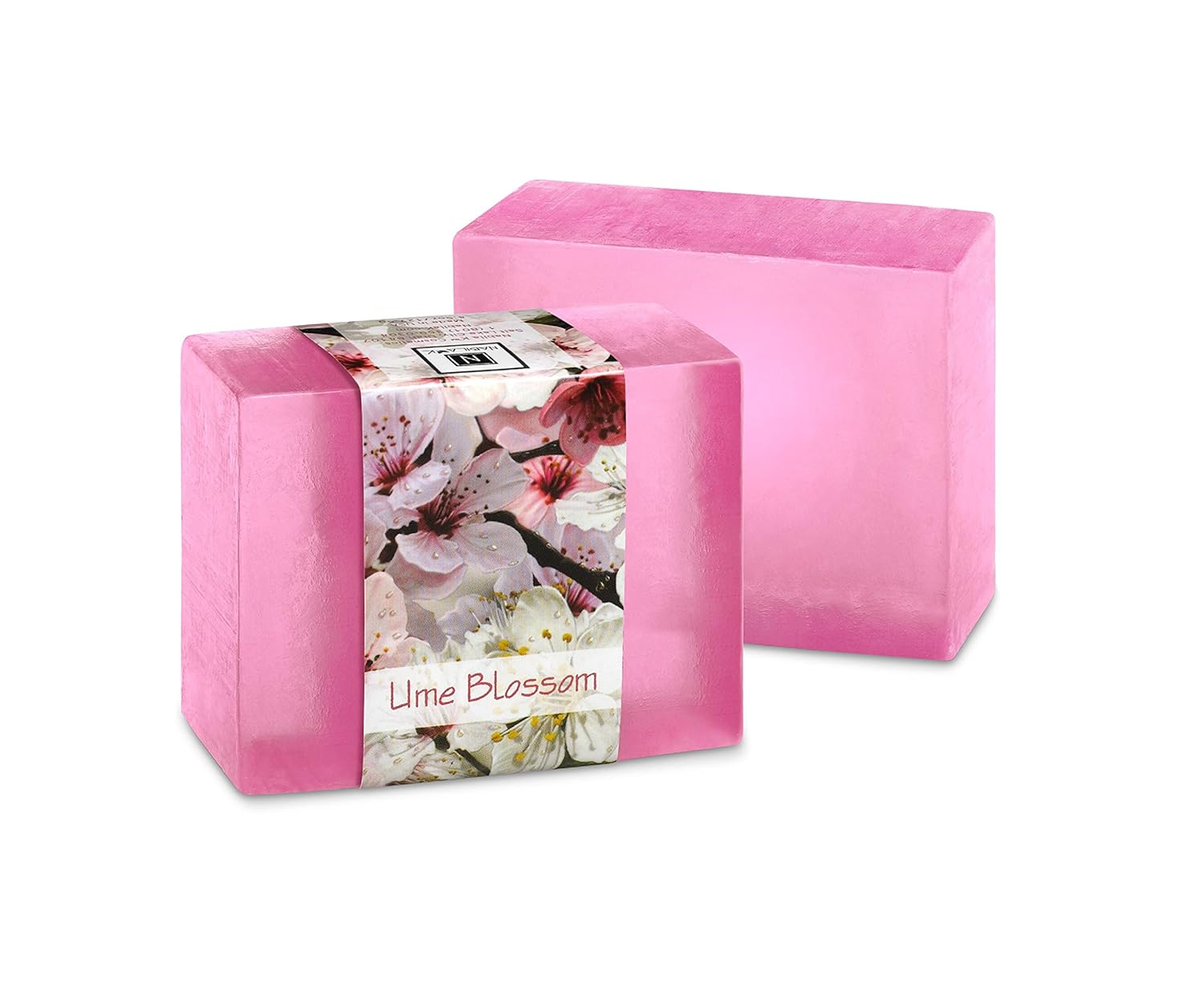 Which Is The Best Plum Blossom Fragrance Oil