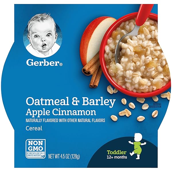GERBER BREAKFAST BUDDIES HOT CEREAL WITH REAL FRUIT...
