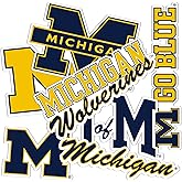 Desert Cactus University of Michigan Sticker Wolverines UM U of M Sticker Vinyl Decals Laptop Water Bottle Car Sheet T2 (Type 2-2)