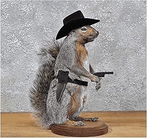 Cowboy Squirrel Taxidermy Statue on Base