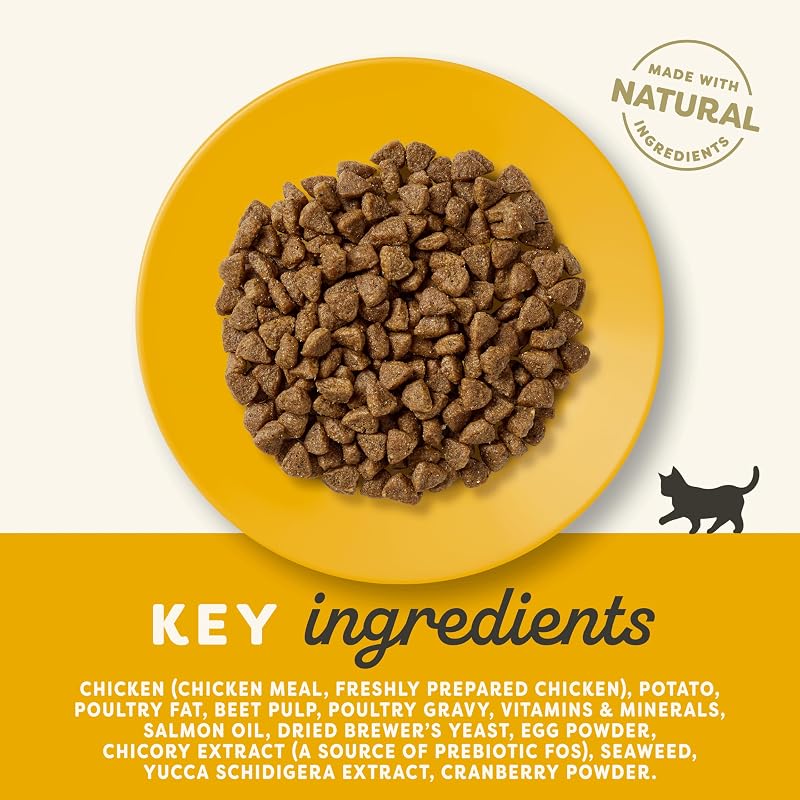 Trockenfutter für Senior-Katzen 2 kg – Huhn Kroketten 1 x 2 kg, getreidefrei, proteinreich, 100% natürliche Zutaten