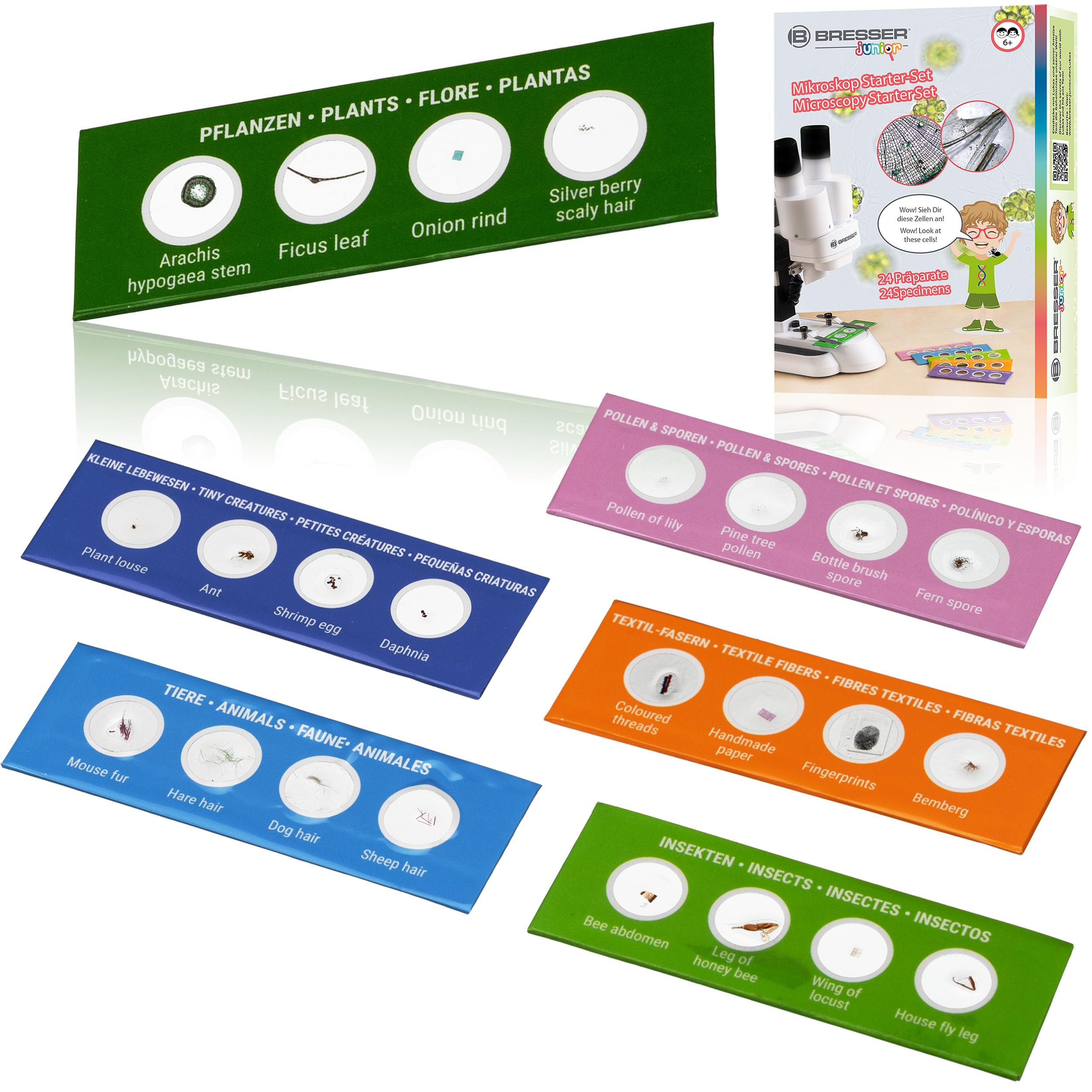 Bresser Junior Microscope Experiment Set with 24 Permanent Preparations for Animals, Plants, Insects, Fibres and Pollen