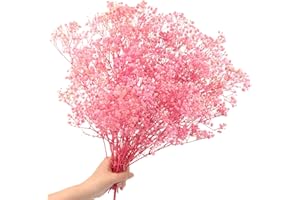 SONGJUM Dried Baby's Breath Flowers Bouquet 2000+ Natural Dried Flowers Baby's Breath Real Gypsophila Branches for Wedding Table Vase Party Garden DIY Wreath Floral Home Decor（Pink）