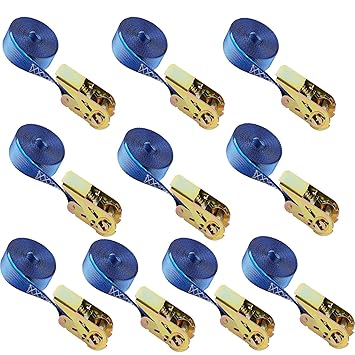 10X Lashing Strap Tension Belt Spanngurt mit Ratsche Ratchet Strap