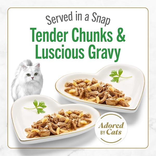 PURINA FANCY FEAST PETITES GRILLED CHICKEN ENTRÉE WITH RICE IN GRAVY GOURMET WET CAT FOOD – (PACK OF 12) 2.8 OZ. TUBS