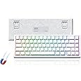 Womier M68 HE V2 Rapid Trigger Keyboard 60% Percent, Hall Effect Topographic Gaming Keyboard, Wired RGB Custom Mechanical Key Board with Magnetic Switch, PBT Keycaps for Mac/Win (White)