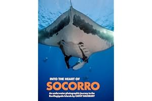 Into the Heart of Socorro: An underwater photographic journey to the Revillagigedo Islands