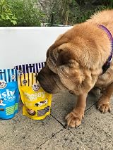 Laughing Dog Cheesy Bites Dog Treats 125g Wheat Free Broccoli Cheese view 6