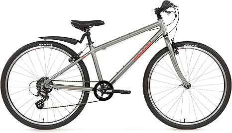 raleigh performance 14