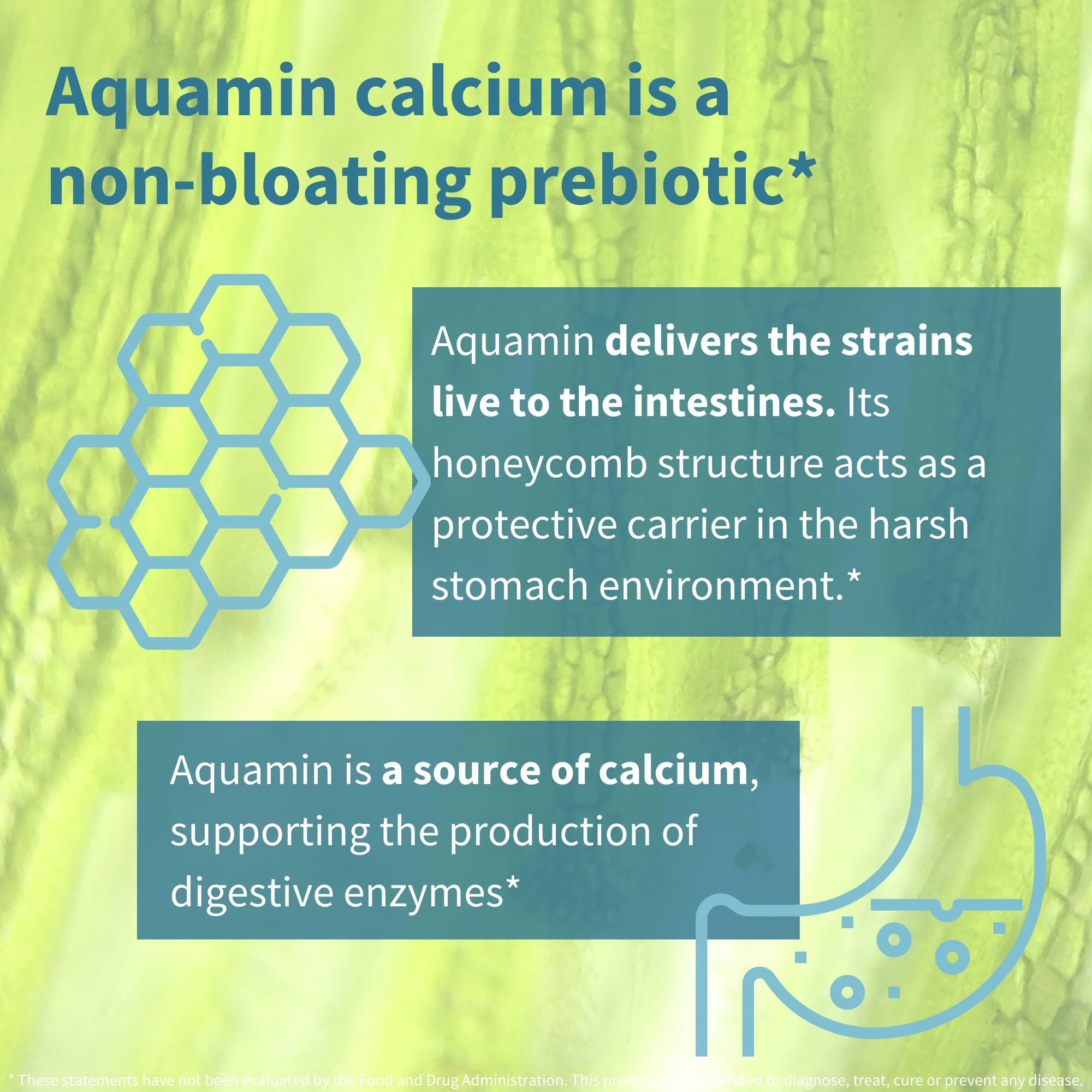 Igennus Probiotics & Prebiotic, Lactobacillus Acidophilus & Bifidobacterium, Gut Health Support, Live Cultures+ Lab4, Guaranteed 25 Billion CFU, for Women & Men, Non-Bloating, Non-GMO, 30 Capsules