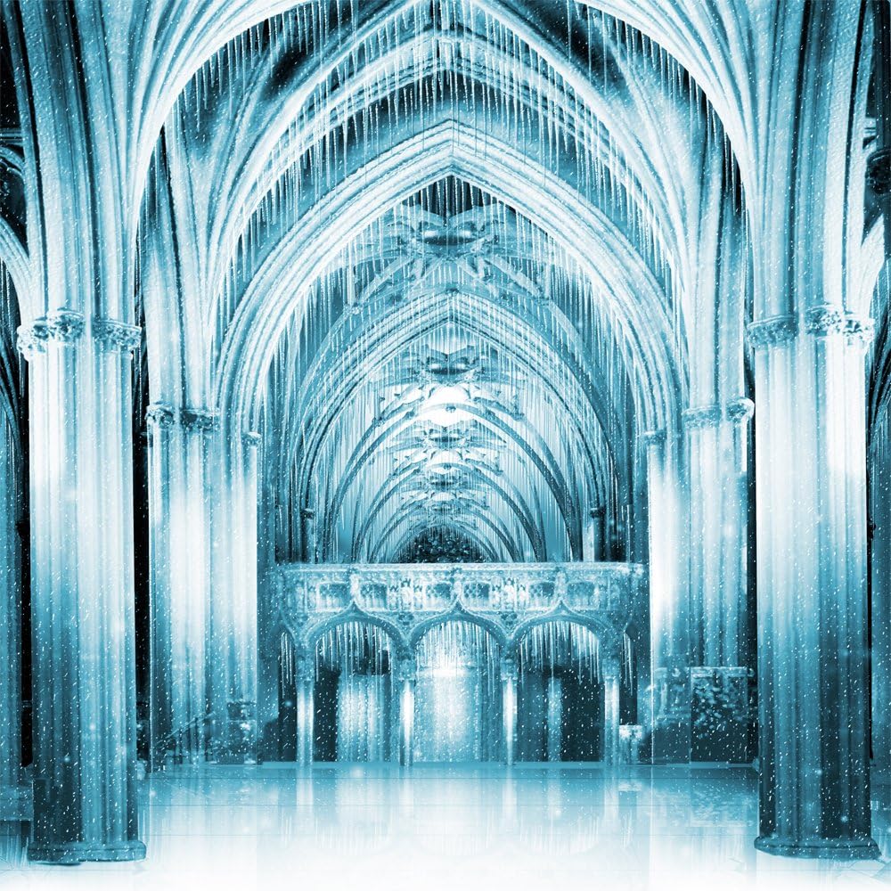 Amazon Com Alba Creative Photography Backdrop Ice Palace 10x10 Ft 100 Seamless Polyester Electronics