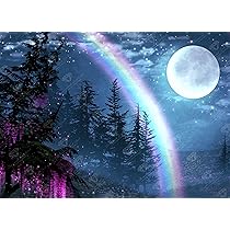DIAMOND ART CLUB Wisteria Moon Diamond Painting Kit, Fun DIY