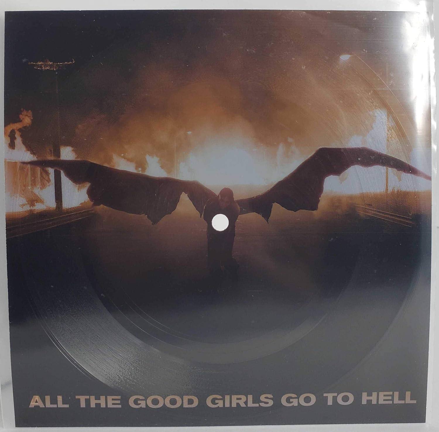 Billie Eilish Various Artists All The Good Girls Go To Hell Exclusive Limited Edition 7 X 7 Flexi Disc Vinyl Lp Amazon Com Music
