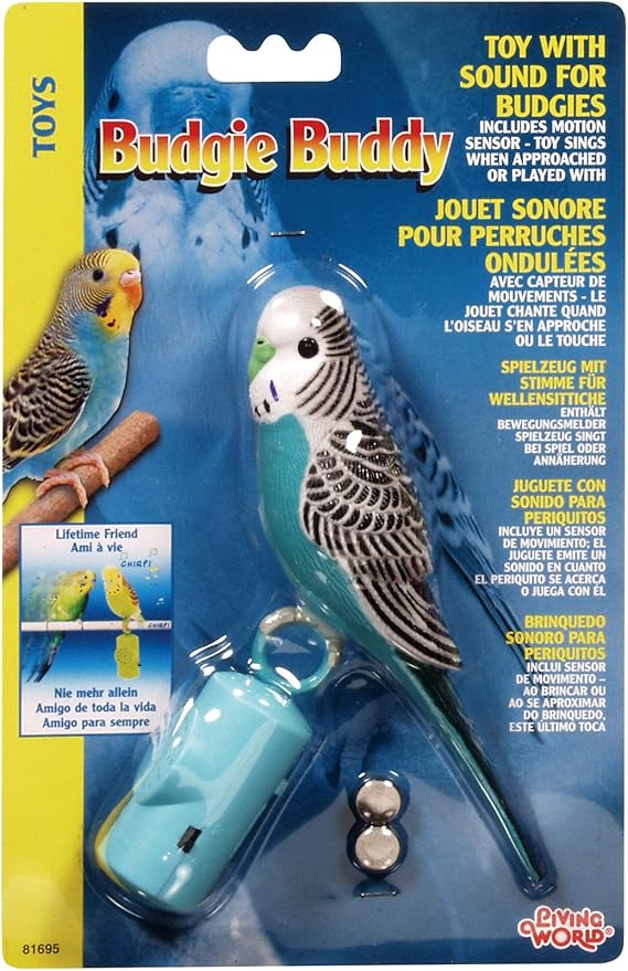 budgie toys amazon