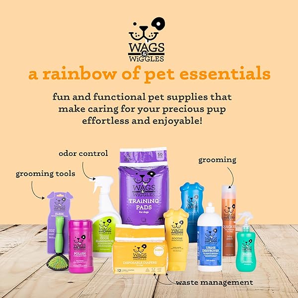 WAGS & WIGGLES NO MARKING DETERRENT TRAINING SPRAY FOR DOGS – INDOOR DOG PEE REPELLENT & BEHAVIOR AID, ANTI PEE & URINE DETERRENT, NO MORE MARKING, IDEAL FOR POTTY TRAINING, 16 FL OZ