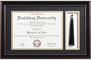 VIOLABBEY 11x17 Diploma Frame with Tassel Holder Black for 8.5x11 Certificates Document, College Degree Frame for Wall Mounted (Black Gold Double Mat)