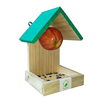 Buy Petnest Wooden Fruit Feeder Cum Seed Feeder For Birds Online