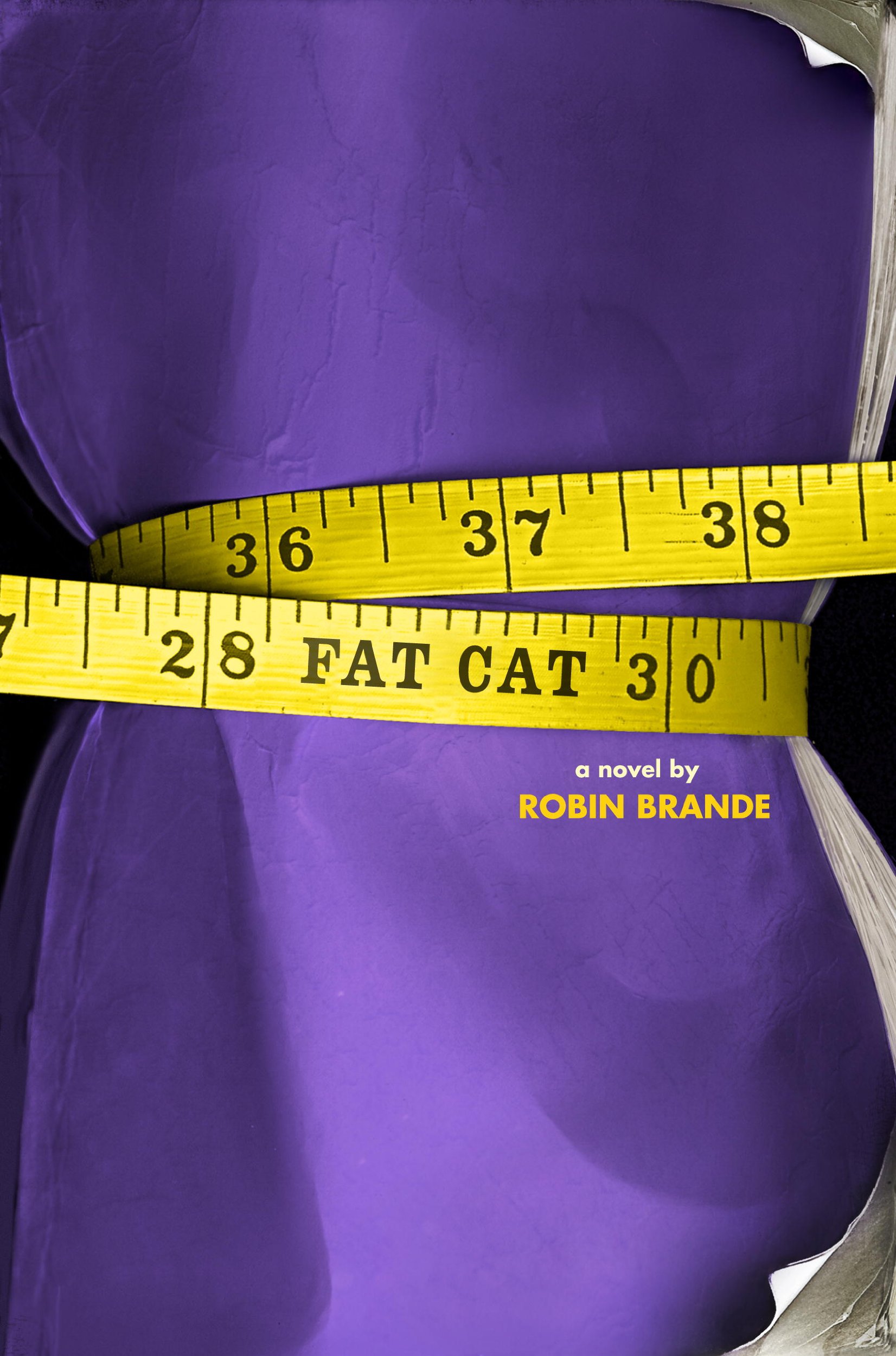 Amazon Com Fat Cat 9780375944499 Brande Robin Books