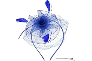 Pistha Womens Fascinators Hat Fascinators Headband with Feather Mesh, Tea Party Hat for Women