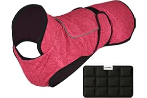 LUCOLOVE Dog Cooling Vest with Ice Pack – 2-Layer Evaporative Cooling Jacket with High Collar, UV Protection & Size-Matched Ice Pack – Cooling Vest for Dogs for Hot Weather (Pink Floral, Large)