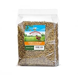 WORMSKING 3LB Dried Mealworms, Great Treat for