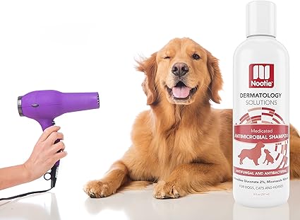 nootie antimicrobial shampoo