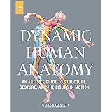Dynamic Human Anatomy: An Artist's Guide to Structure, Gesture, and the Figure in Motion