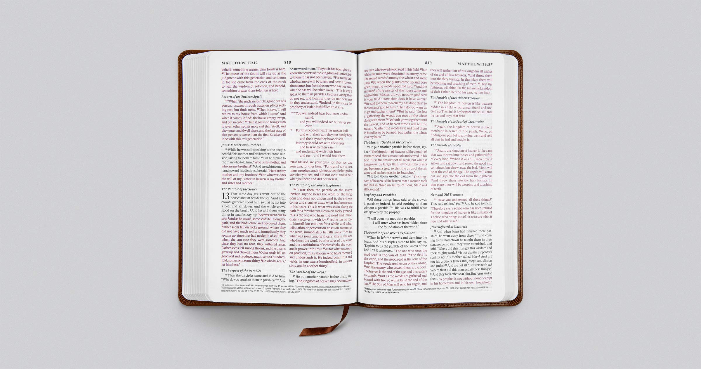 ESV Thinline Bible (TruTone, Royal Lion)